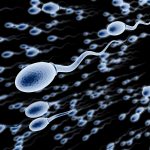 Wie viele Liter Sperma produziert ein Mann im Laufe seines Lebens?