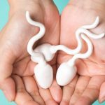 Verbesserung der Spermienproduktionstabletten